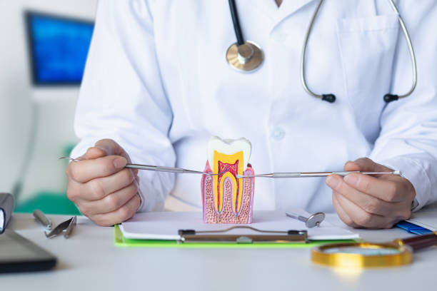 Best Emergency Broken Tooth Repair in Plainfield, NJ